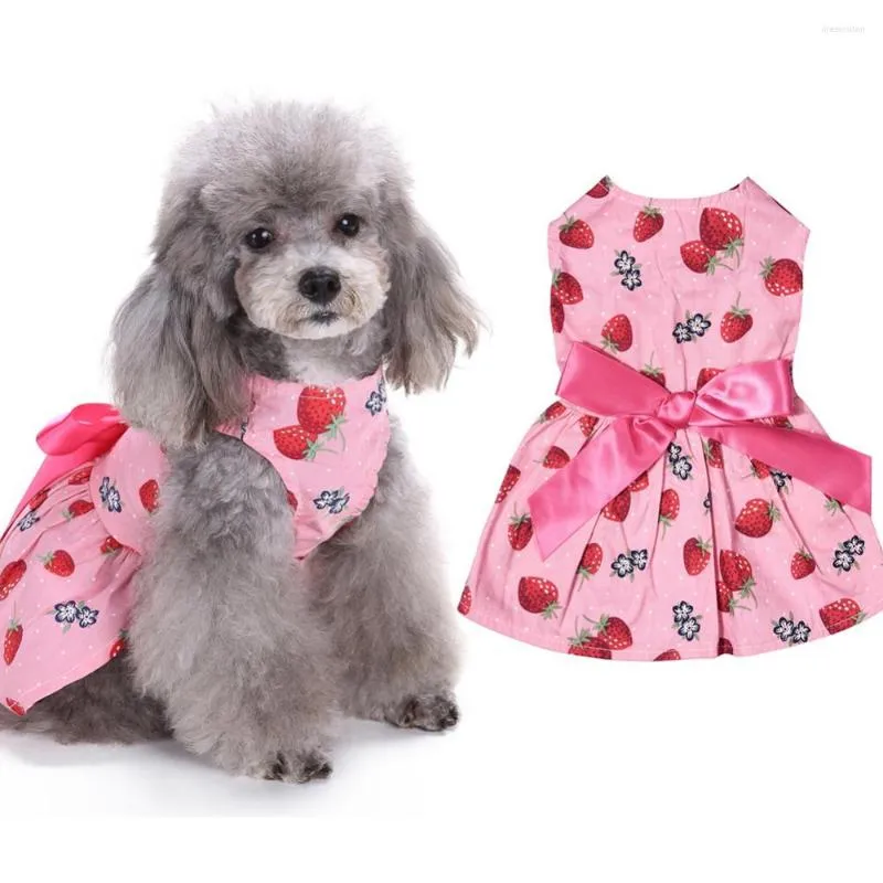 Chien vêtements motif de fruits Pet chat costume Chihuahua fraise ruban arc décoration robe