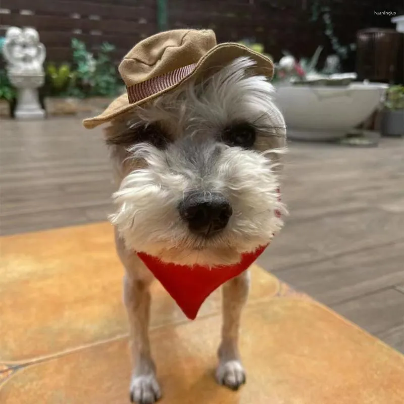 Vêtements pour chiens chapeau de fête pour animaux de compagnie charmants accessoires pour animaux de compagnie ensemble de costumes élégants de chiens de serviette de salive de Cowboy confortables