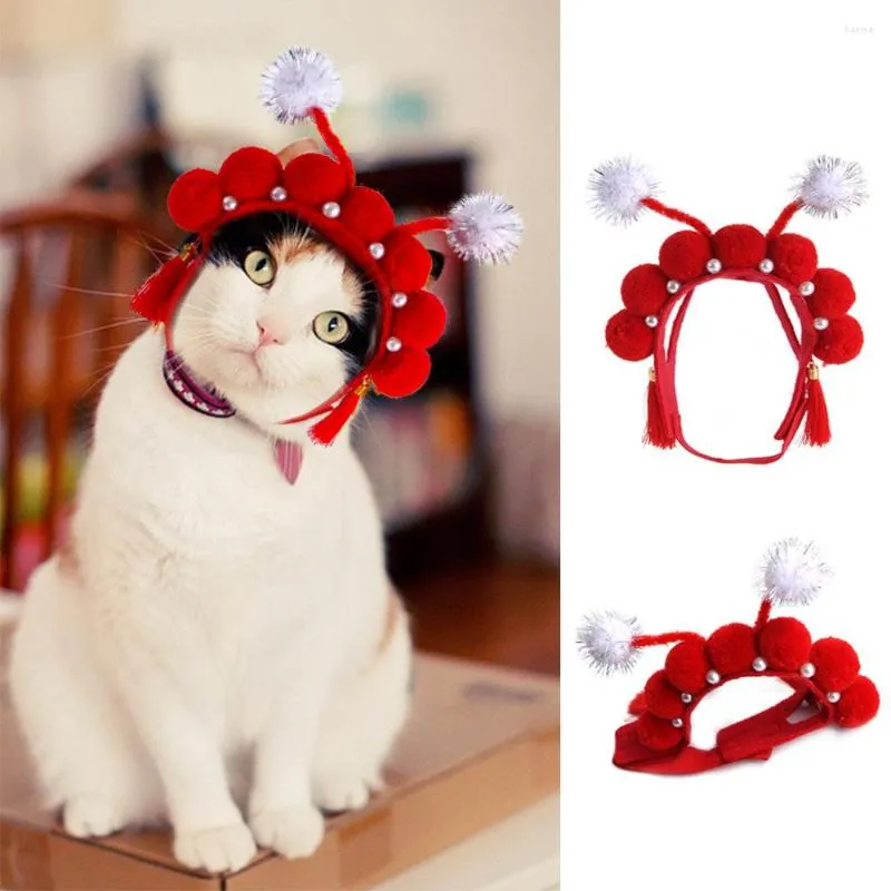 Chien vêtements animal de compagnie Style chinois chapeau Teddy habiller pékin opéra franges couvre-chef chat fournitures accessoires pour