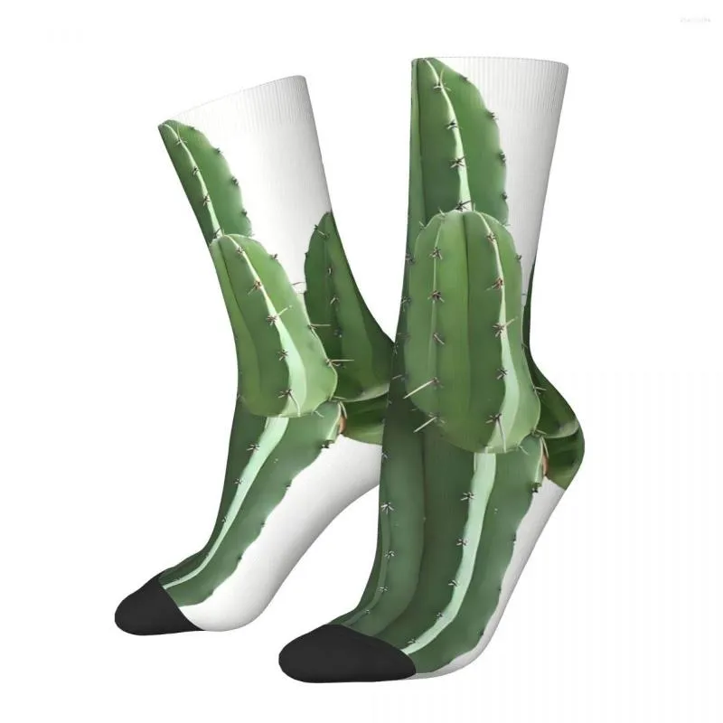 Chaussettes pour hommes Vintage Cactus unisexe nouveauté sans couture imprimé drôle chaussettes cadeau