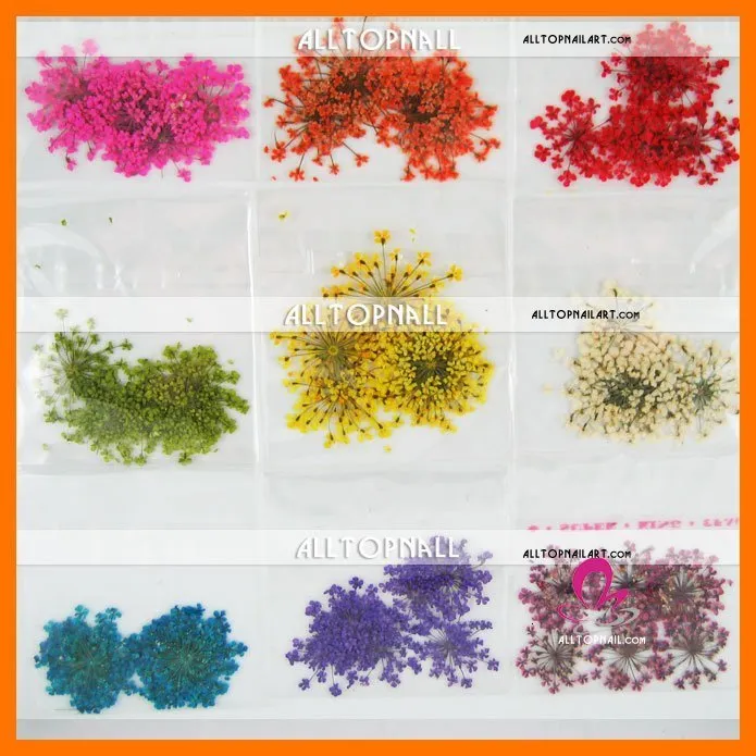 Hot Wholesale Free Shipping - Assorted Styles Real Flower Dried Flower Dry Flower for Nail Art Decoration 1.jpg