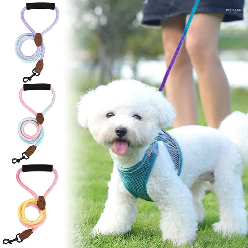 Dog Collars Gradient Leashes Anti Twisting Pet Chain With Clip Hooks Nylon Leash For Walking Running Correa Perro