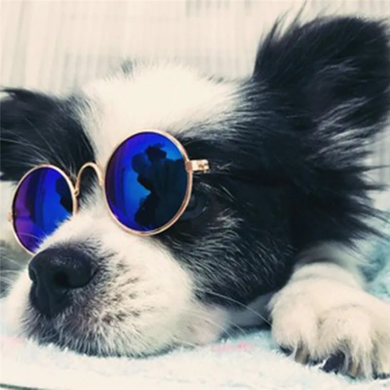 Köpek giyim küçük köpekler güneş gözlüğü kedi gözlükleri evcil hayvan malzemeleri için ürünler pos aksesuarları akcesoria dla psa gafas perro
