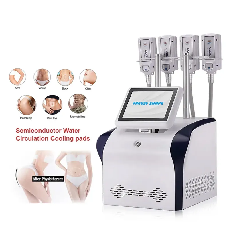 4 Cryo Platen Cool Body Beeldhouwen Vet Freeze Cryolipolyse EMS Afslanken Machine Cellulitis Vermindering Vet Bevriezing Huidverstrakking machine