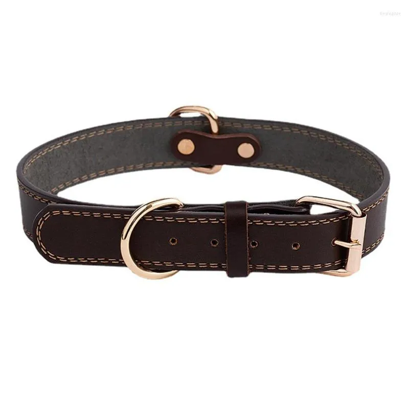 Cleaning leather dog collar sales