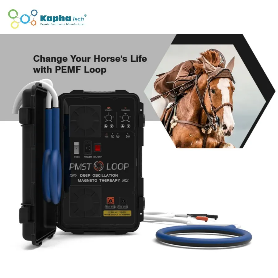 Magnawave Horse Therapy Pemf Pemf Therapy vrogue.co