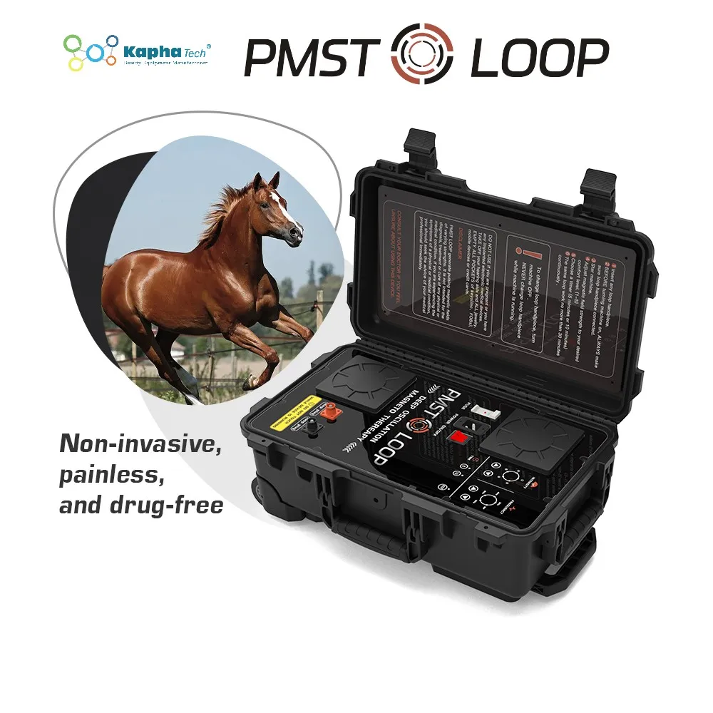 Advanced PEMF Therapy Equine Physiotherapy Machine For Joint