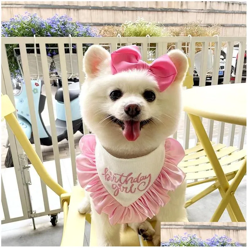 Vêtements de chien Vêtements de chien Ins Anniversaire Saliva Serviette Épingle à cheveux Costume Partie Triangle Écharpe Chat Dentelle Bavoir Pographique Props Présent Drop Livraison DHPBO