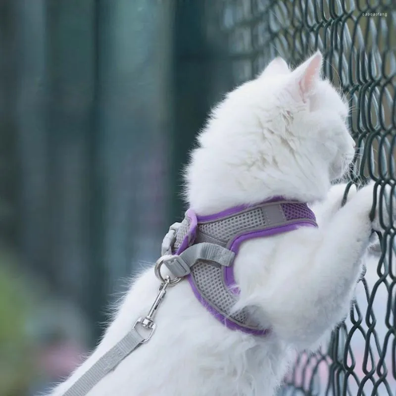 Coleiras para cães trela de chumbo personalizado gato ajustável venda arnês protetor bonito gatinho acessórios ropa para gatos animais de estimação suprimentos