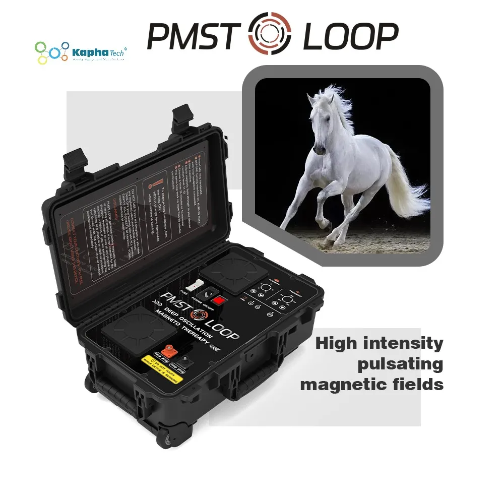 Efficient Horse Back Pain Prevention With PEMF Therapy Equine Iron