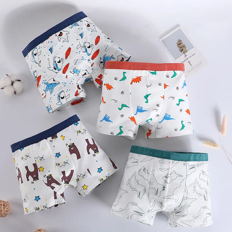 Cartoon Dinosaurs Pattern Cotton Boxer Kidley Panties Set For Kids And  Teens From Deng08, $9.33