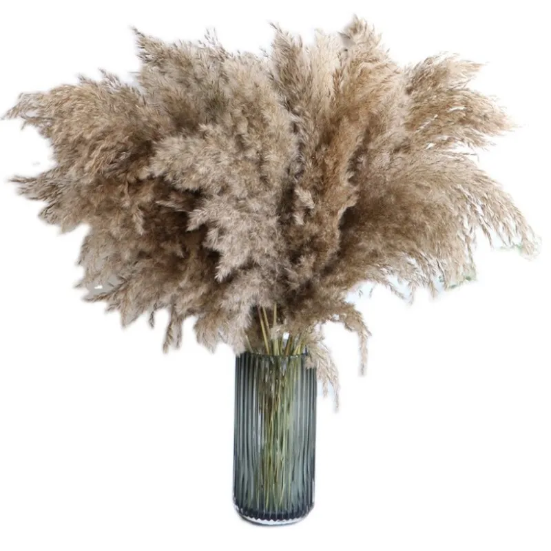 60cm Pampas Grass Bouquet Dried Flower Wedding Use Christmas Decor Artificial Flowers Fall Decoration