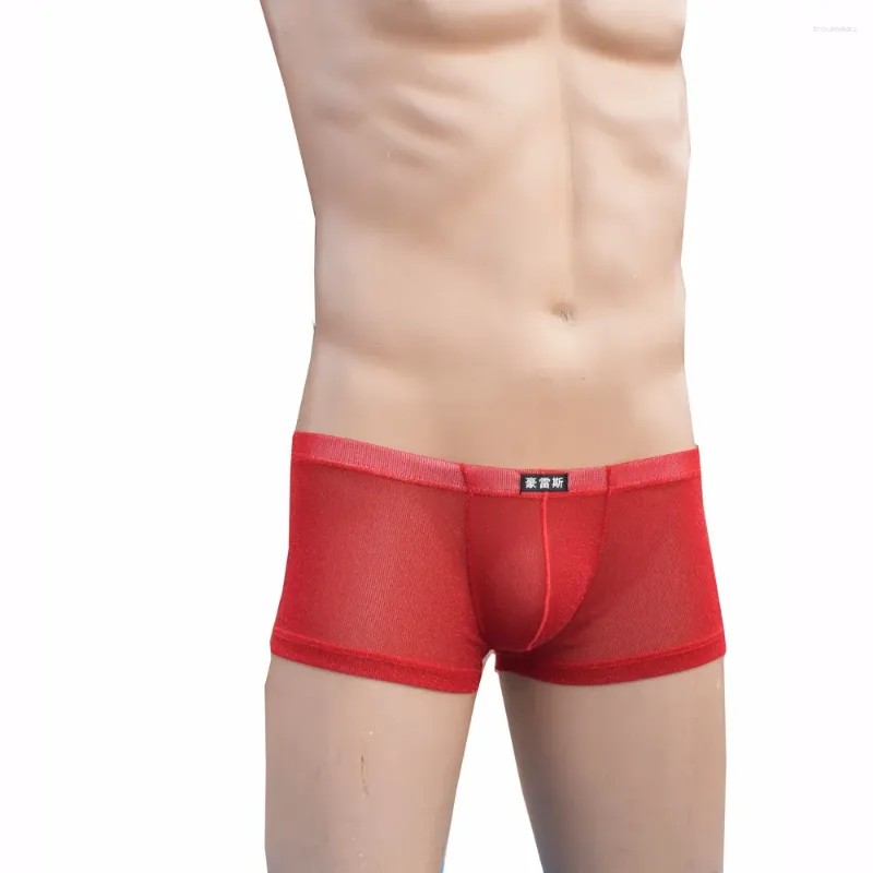 Onderbroek 2023 Merk HOWE RAY mannen Sexy Boxershorts Ultradunne Mannen Homo Ondergoed Transparant Grenadine Boxers Nylon