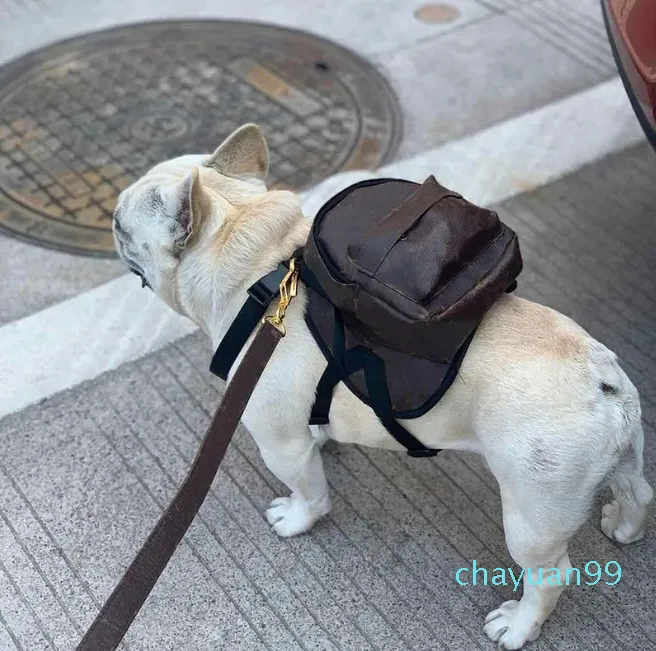 Simpatica borsa in pelle per cani con guinzagli Set zainetto per animali domestici cani gatti zaino pratico piccolo medio