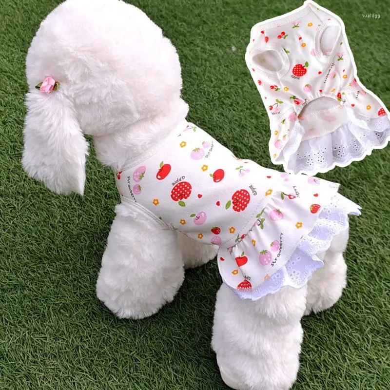 Hondenkleding Puppy Puppy Strawberry Rokken Pet Ademtabele kleding Katten honden Suspender Apple printjurken Kleding Princess Rokkleding Kleding