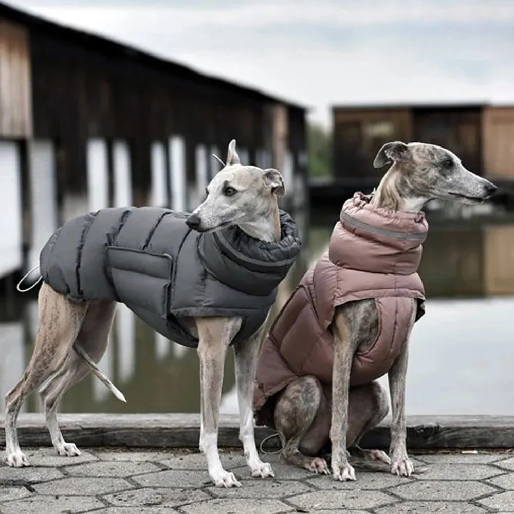 犬のアパレル冬の温かい犬ベスト風力防水濃厚なペットのソリッドポリエステルジャケット調整可能なネックテールサイズペット衣類用品231101