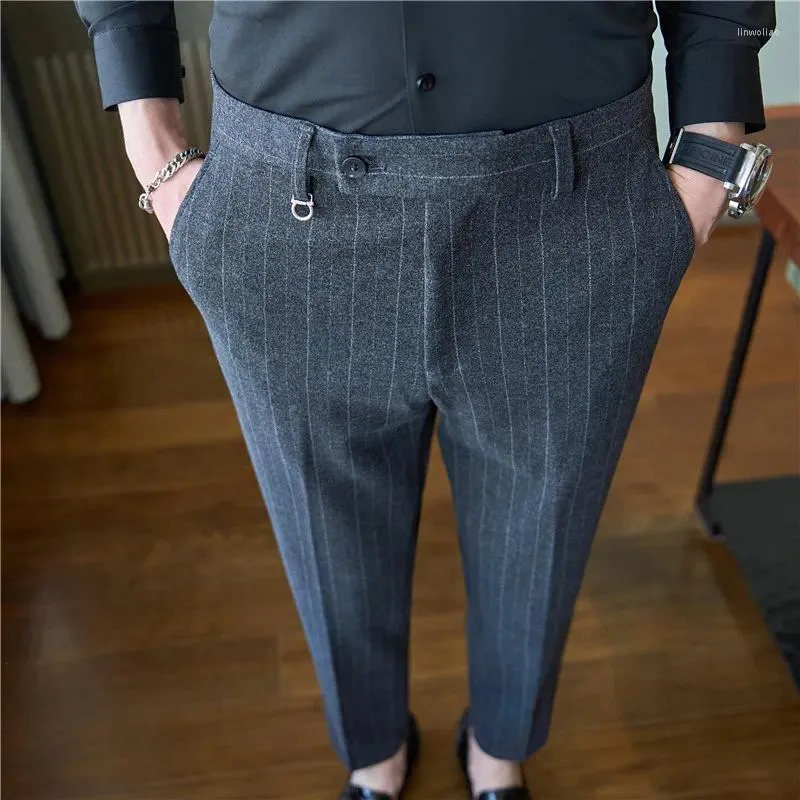 Buy Arrow Dark Grey Regular Fit Striped Trousers for Mens Online @ Tata CLiQ