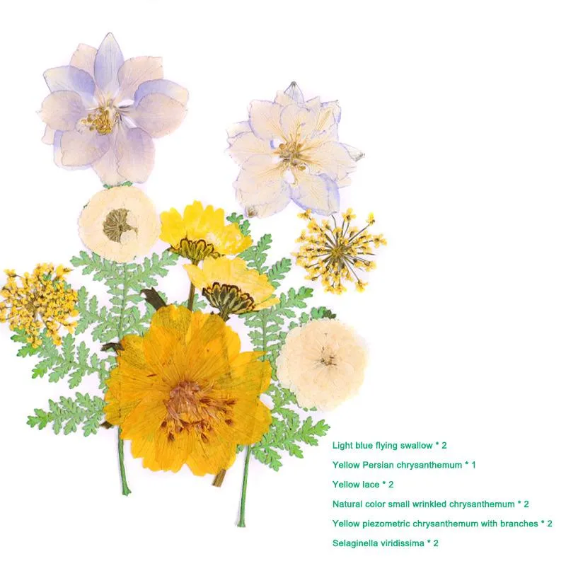 Декоративные цветы венки с прессованными цветами смешанные сухой DIY Art Art Цветочные декоры Коллекция Подарочная корабль Do Do
