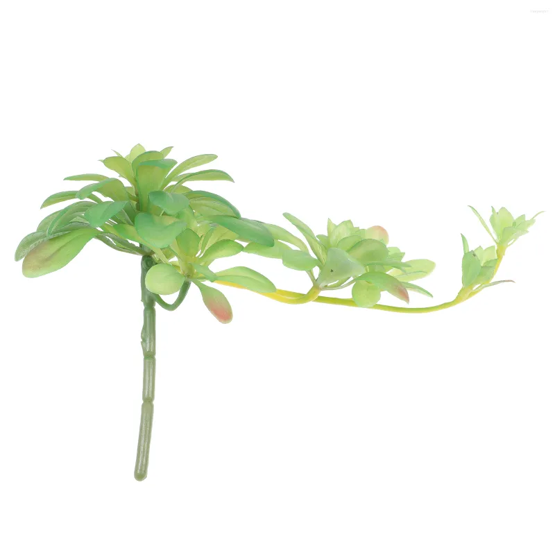 Fleurs décoratives 1pc Petites Plantes Succulentes Plantes Succulentes Suspendues Pour Mur Maison Jardin Décor