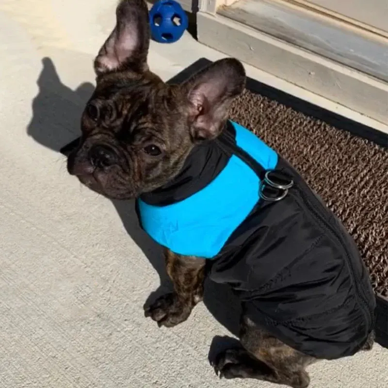 Hundkläder Vinter Dogkläder Pet Coat Pappy Jacky French Bulldog Vest Waterproof Warm Clothes For Small Big Dogs -artiklar 231101