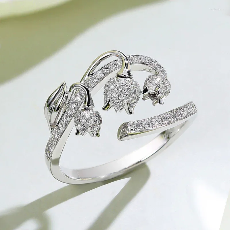 Heart Design Silver Couple Rings – jolics