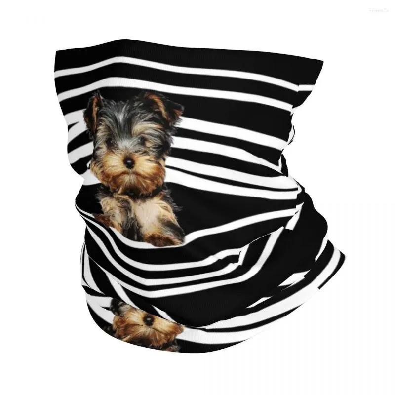 Lenços Yorkshire Terrier Bandana Pesh Cober