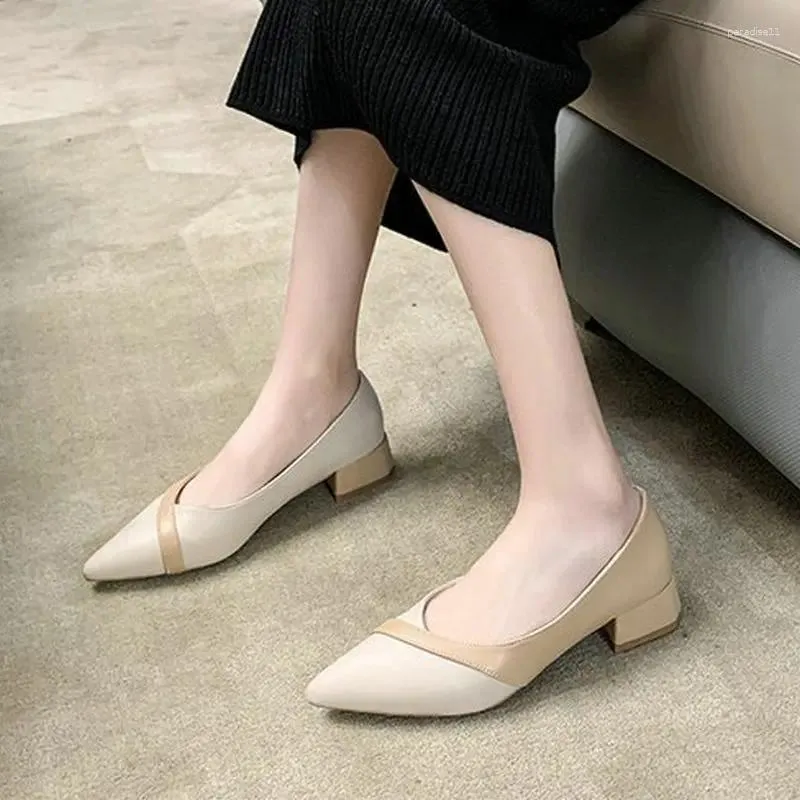 Kleiderschuhe Frauenpumpen 2023 Frühlings- und Herbst -Mode weibliche lässige Low -Heels gemischte Farben Speed Toed Zapatillas