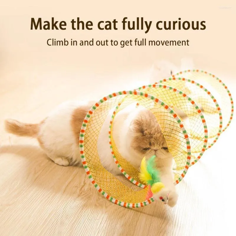 Kitten play accessories online