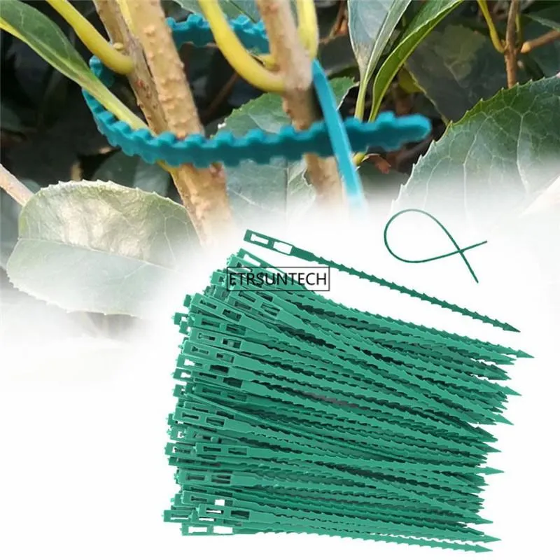 Garden Supplies Other 100Set Fishbone Spur Green Landscape Wiederverwendbare Kunststoff-Pflanzengürtelbinder Tie Band Tools