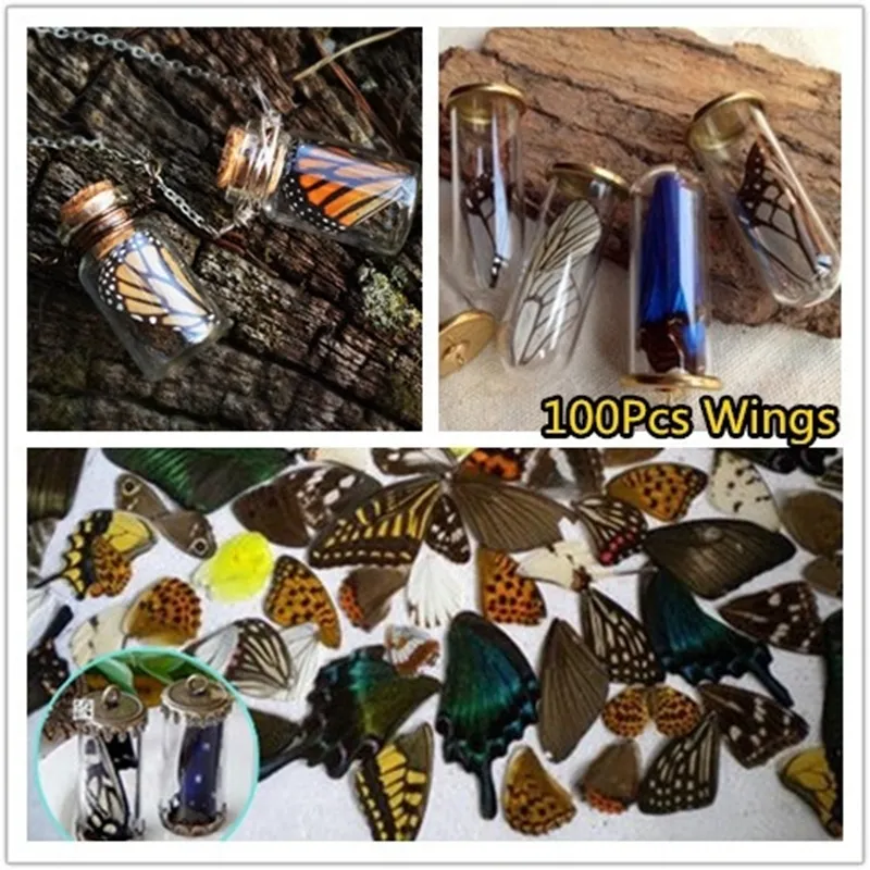 Dekorativa föremål Figurer 100st/Set verkliga naturliga exemplar Butterfly Wings Diy Jewelry Artwork Art Hand Craft Happy Ing 230403