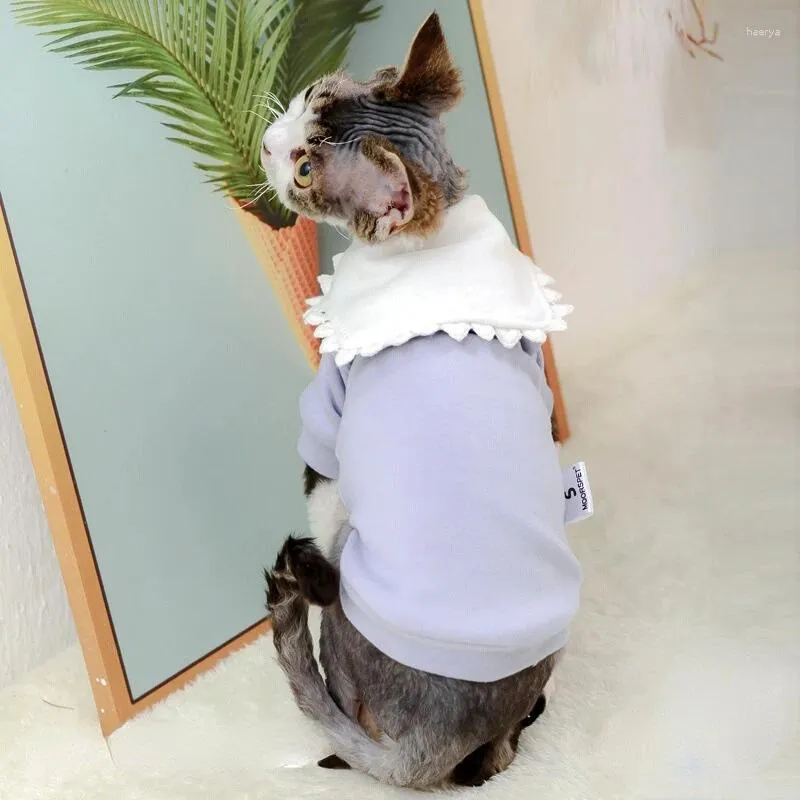 犬のアパレル髪のない猫服風レースドイツのベルベット英語短いボトムシャツ人形襟