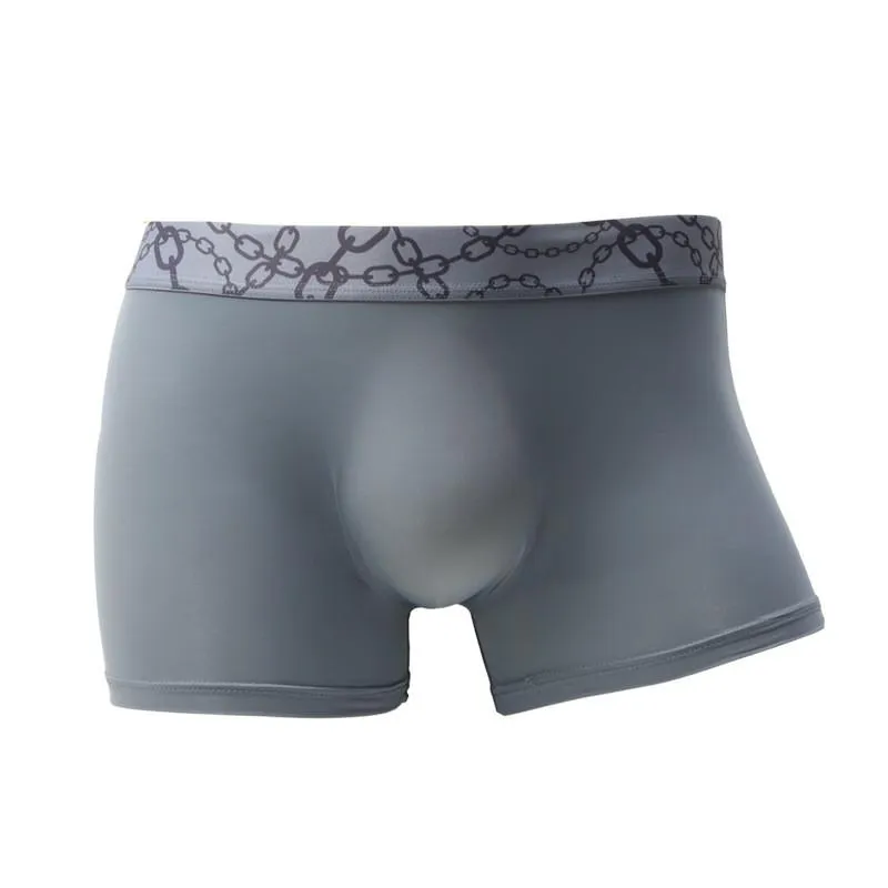 Mutande Intimo da uomo sexy Boxer Cueca Mutandine di seta di ghiaccio trasparente Uomo Borsa traspirante Tronco maschile Boxer taglie forti