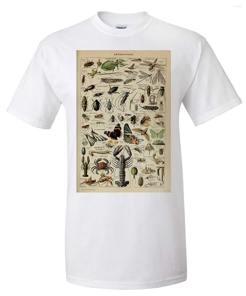 Men's T Shirts Insects - Vintage Bookplate Adolphe Millot Artwork (Premium T -Shirt)