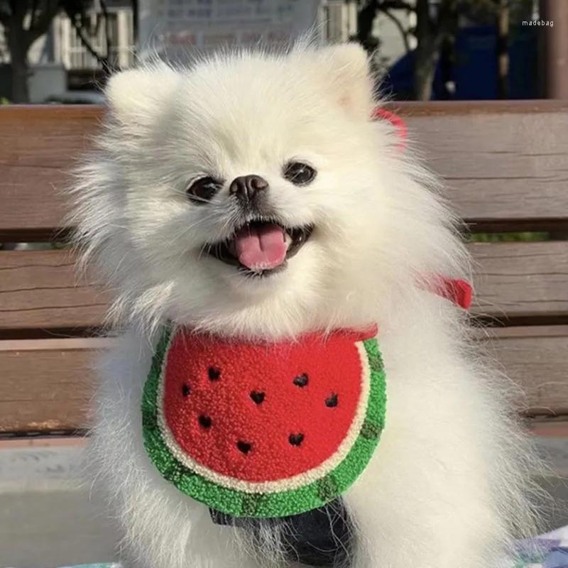 Collari per cani Collare in pile di anguria Pet regolabile Comodo per cuccioli adorabili Cani carini Fornitore di accessori di moda