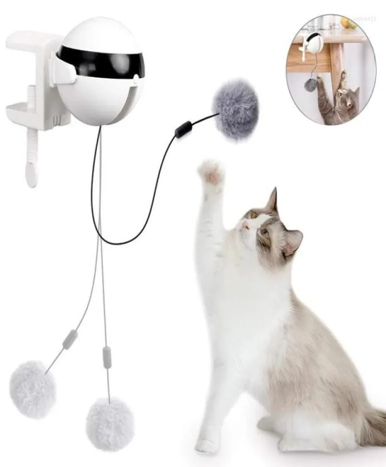 Cat Toys Smart Toy Electric Automatic Lifting Motion Pet Plysch Ball For Cats Interactive Puzzle Rolling Jumping9248932