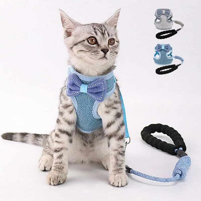 Costumi per gatti Set di imbracatura e guinzaglio carino Gilet per gattino Bowknot in nylon 120 cm Guinzaglio da passeggio Maglia morbida per cuccioli Gatti Regolabile