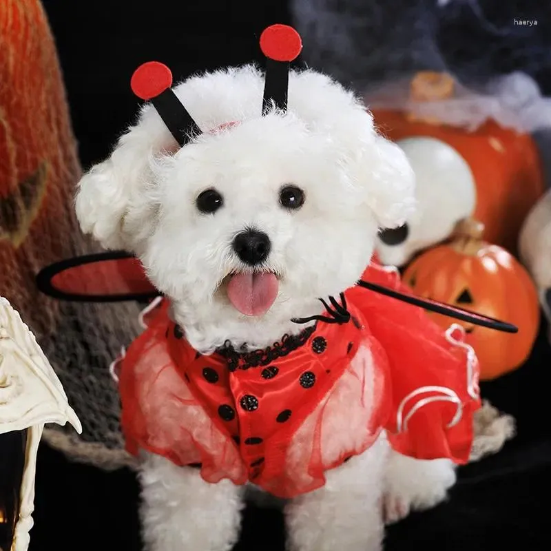 Vestuário para cães Produtos para animais de estimação COSPLAY Halloween com asas Red Lady Bugs Saia Teddy Puppy Festival Acessórios