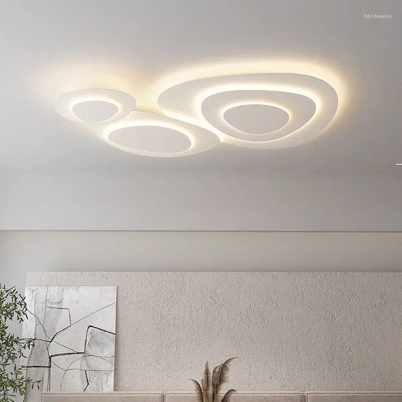 Plafondverlichting Moderne LED-lamp voor woonkamer Eetkamer Slaapkamer Gangpad Thuisstudie Balkon Decor Binnenverlichtingsarmaturen Glans