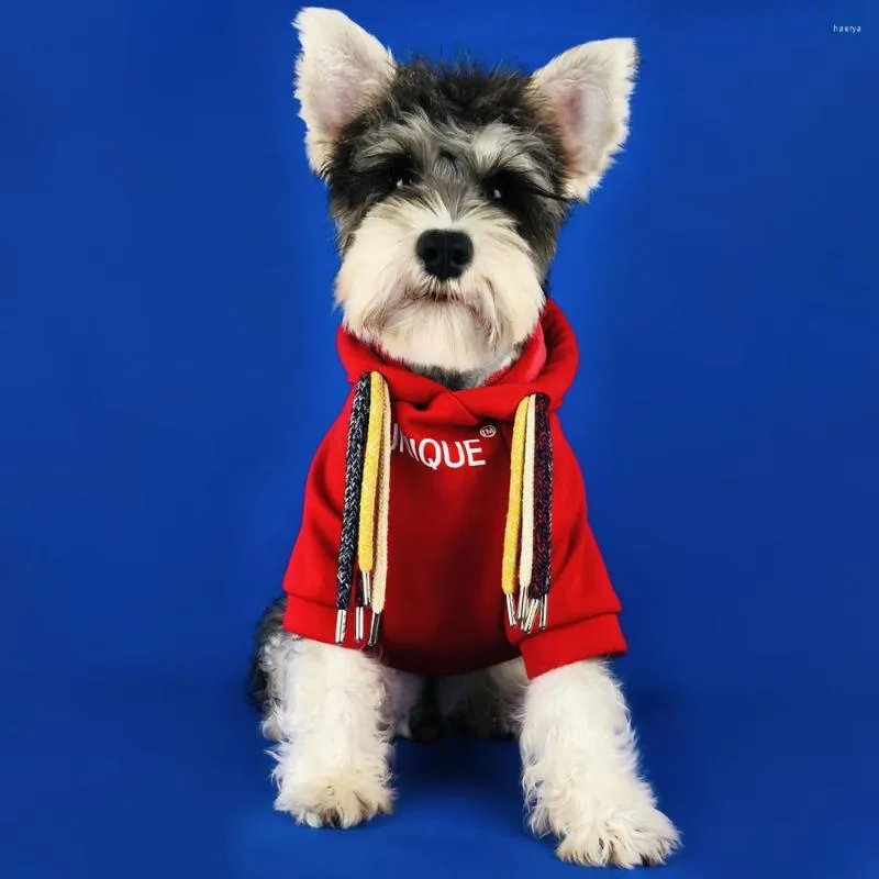 Dog Apparel Designer Clothes Pet Ropa Perro Costume Para For Small Dogs Coat Jacket Cat Abrigo Gato Warm Dreadlocks Plush Hoodie Sweater