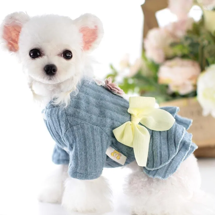 Abbigliamento per cani Colori blu rosa Abito caldo con piccoli vestiti decorativi per animali domestici 2023 Autunno e inverno Abbigliamento Gonna di canna