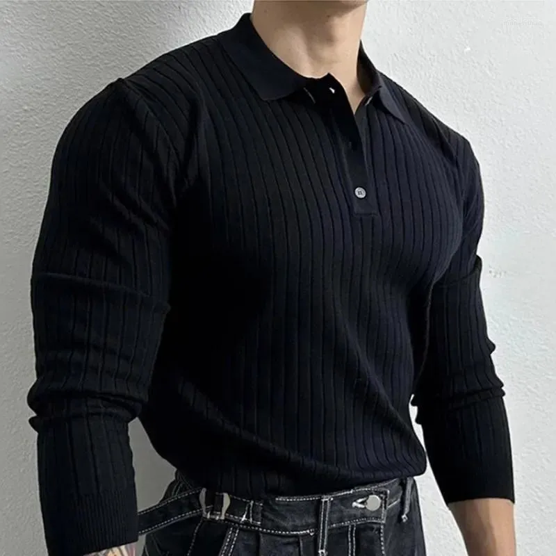Polos para hombre tendencia de otoño e invierno camiseta Polo de punto a rayas simples camisa de manga larga de moda negra para hombres