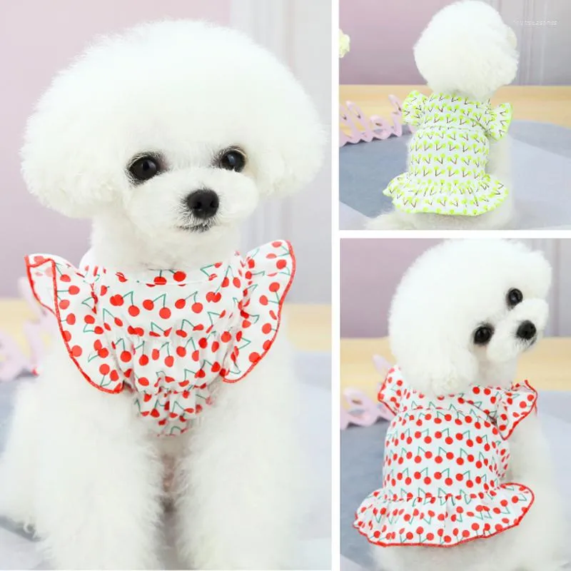 Vêtements pour chiens Chiot Jupe Vêtements Été Yorkshire Yorkies Vêtements Pomeranian Maltais Schnauzer Caniche Bichon Frise Pet Dress Dropship