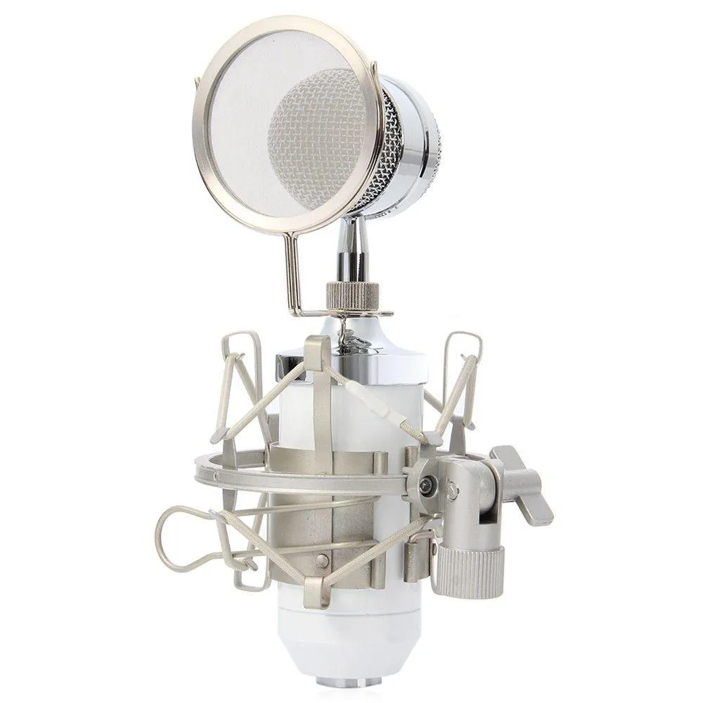 Microphones Bm8000 professionnel son Studio enregistrement condensateur filaire Microphone 3.5mm support de support de prise filtre Pop pour Ktv karaoké Dhuxy