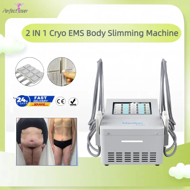 2023 Cryolipolysis Slimming Machine 4 Kuddar Minska fjärilsarmens EMS Cryo Plates Skin Dra åt Fat Freezing Disching Slimming Freezing Device Body Shape