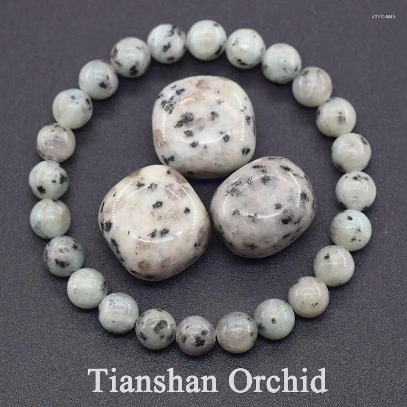 Charm Bracelets Tianshan Orchid Natural Stone Beads Men Women Crystal Bead Yoga Meditation Jewelry Elastic Wristband Bangle Wholesale