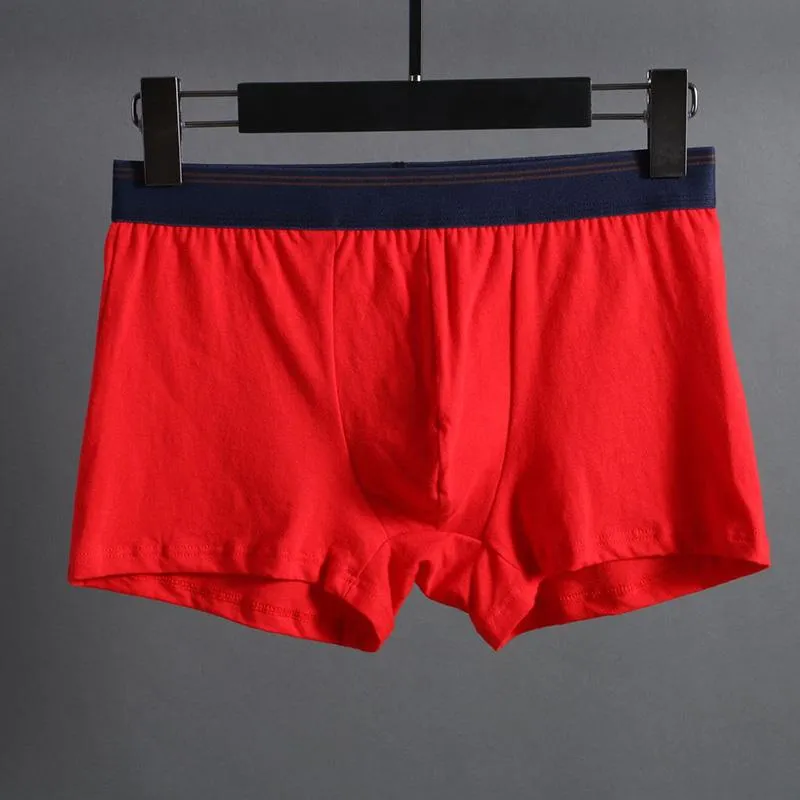 Mutande 1 confezione/lotti di biancheria intima da uomo di qualità con custodia grande, boxer in cotone elasticizzato, mutandine