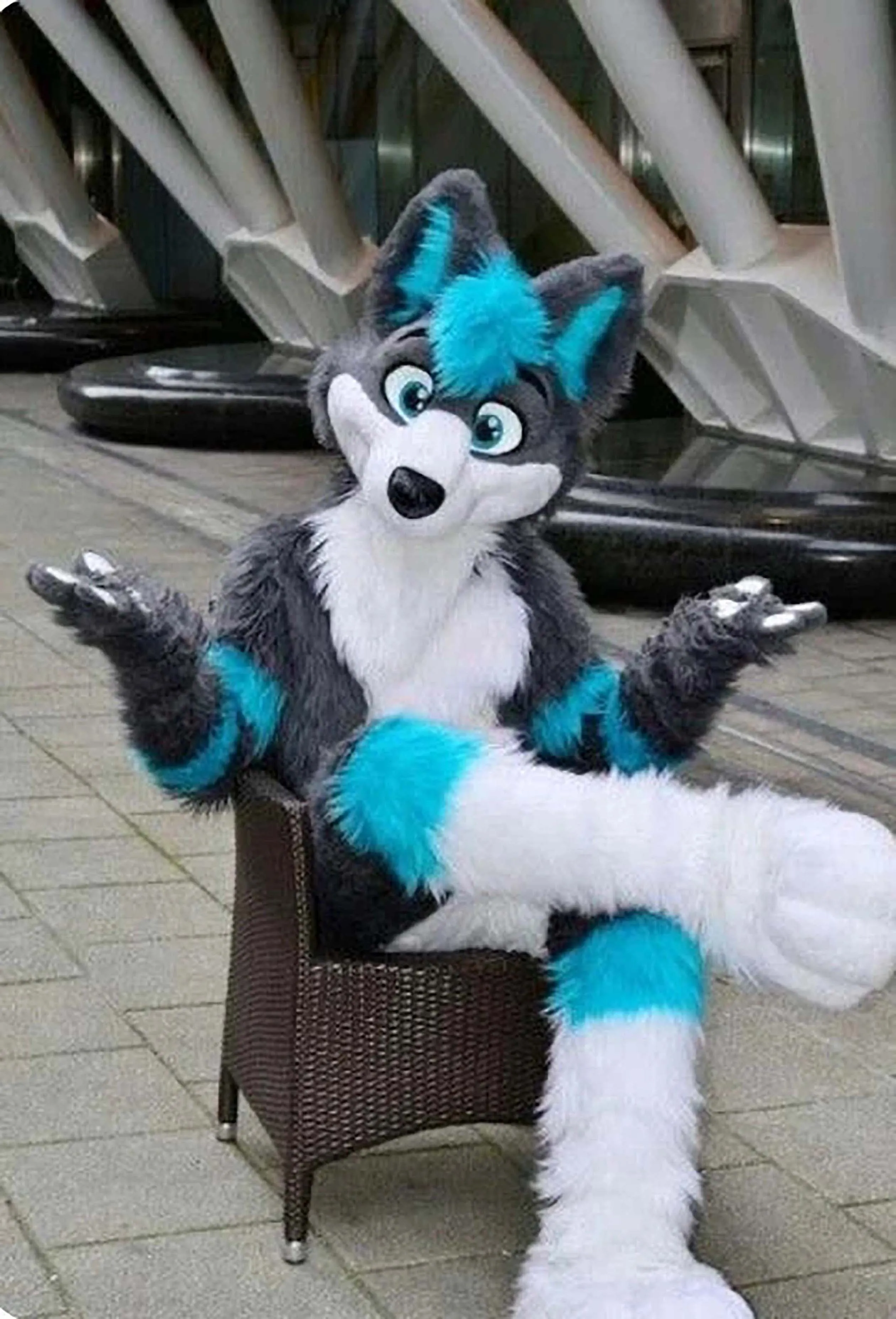 Fursuit