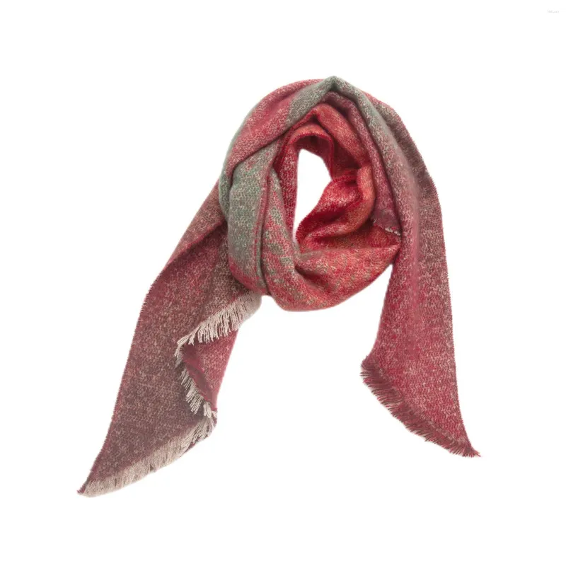 Foulards femmes peluche Wrap gland dégradé couleur décontracté chaud Écharpe écharpe châle automne hiver polyvalent cou écharpes Foulard