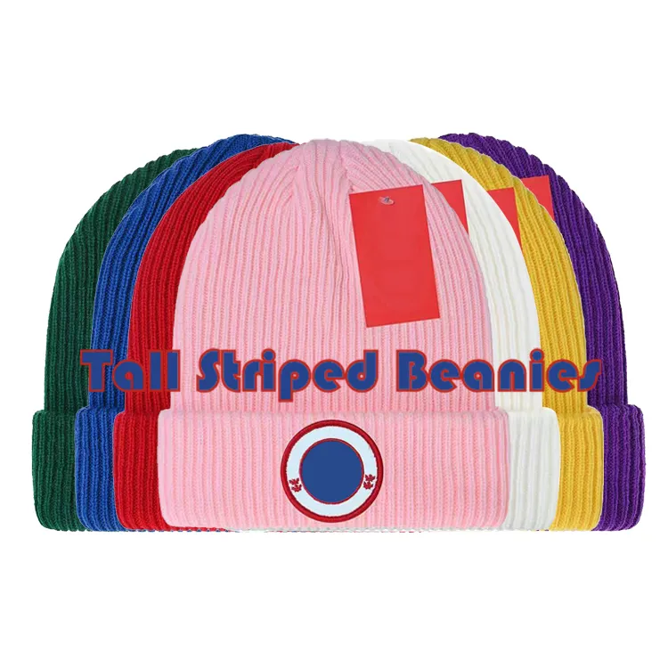 Winter Hat Designer Sticked Beanie Ins Luxury Canada Warm Bonnet Goose Personality Classic Letter Print Tall Striped Beanies