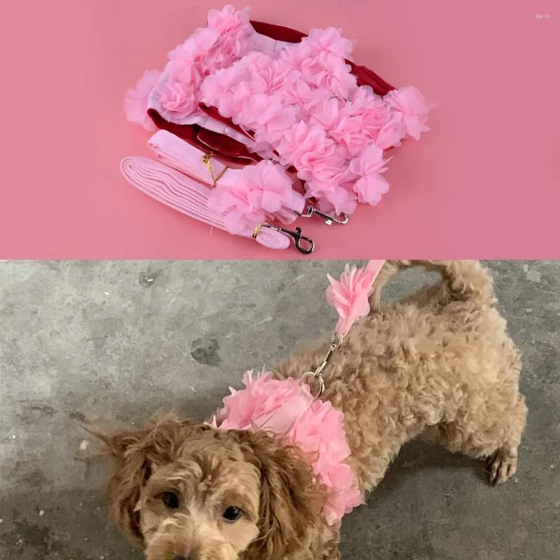 Colliers de chien Mode mignon rose petit animal de compagnie chiot chat gilet réglable veste de marche harnais et poignée de laisse ensemble avec tissu de fleur fantaisie